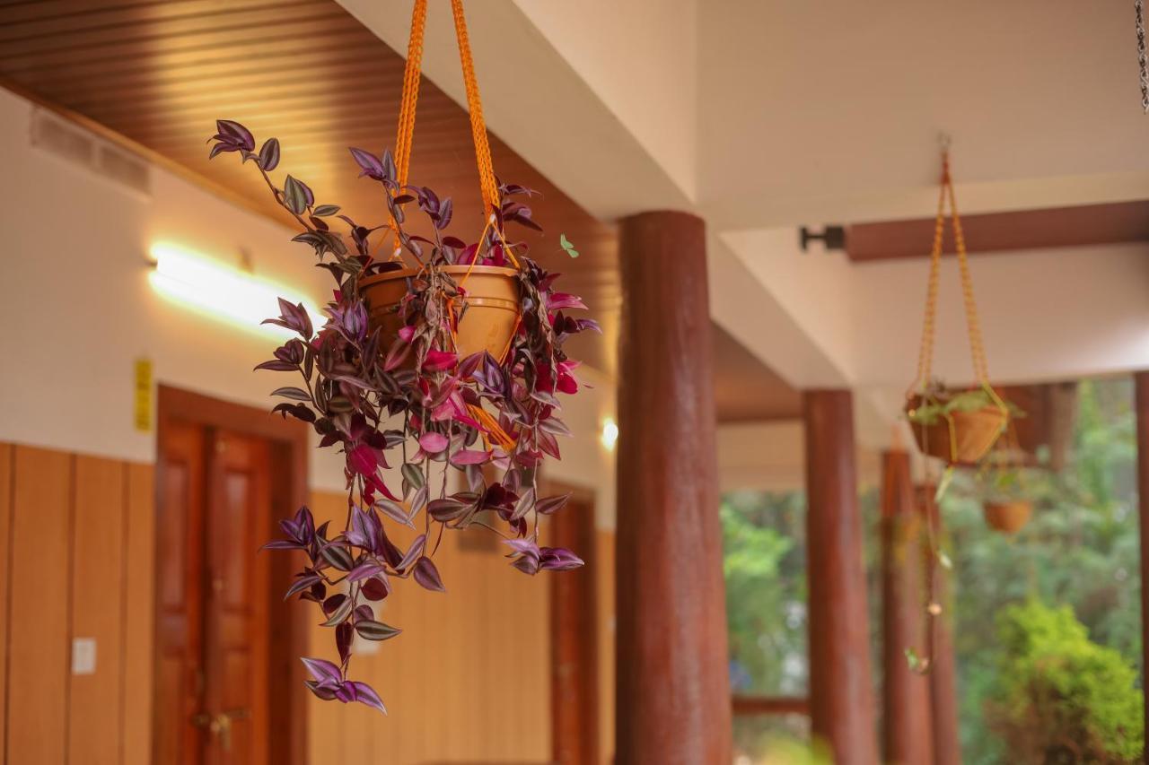 Swastha Plantation Homestay Kaniyambetta Экстерьер фото