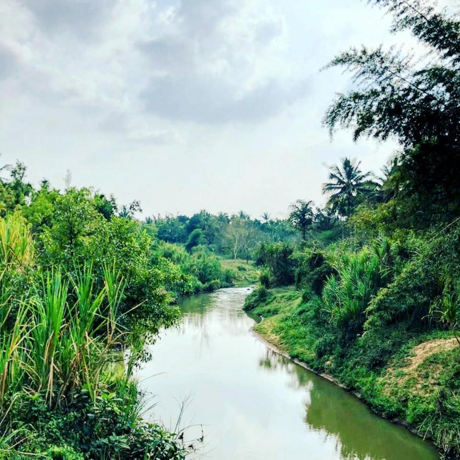 Swastha Plantation Homestay Kaniyambetta Экстерьер фото